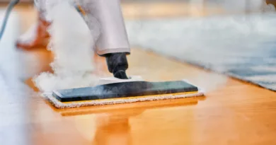 Steam Cleaner for Tile Floors