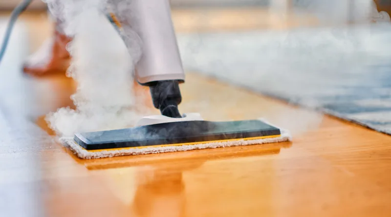 Steam Cleaner for Tile Floors