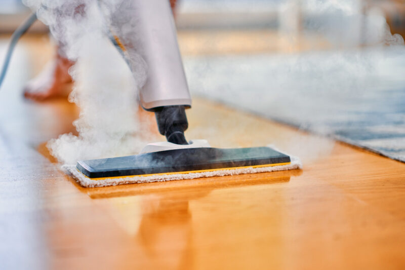 Steam Cleaner for Tile Floors