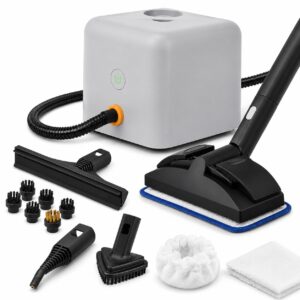 Dupray Neat Plus multi-purpose steam cleaner