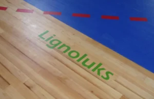 698-Lignoluks