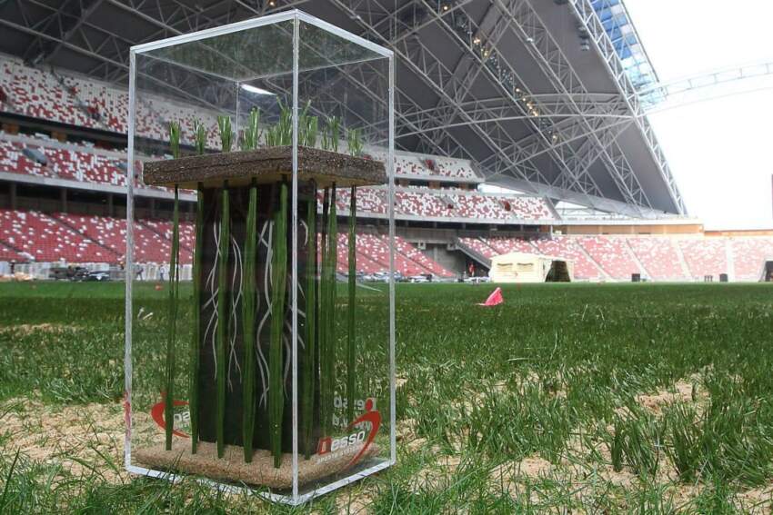 Hibridna trava za Evropsko prvenstvo u fudbalu 2016