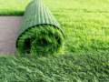 Veštačka trava za sportske terene