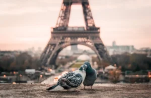 Ajfelova kula, Pariz, Francuska