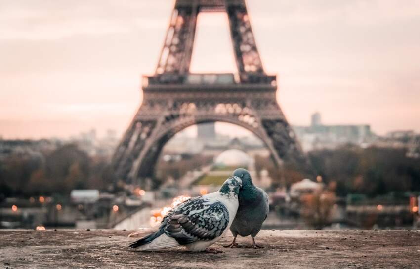 Ajfelova kula, Pariz, Francuska