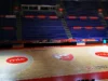 hala pionir