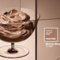 PANTONE 17-1230 Mocha Mousse odabrana za boju godine 2025 / foto: pantone.com