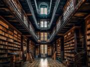 Podovi u bibliotekama / foto: freepik.com