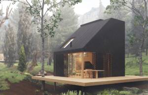 Kuća Dark forest / 3D vizualizacija: Mikro housing hub