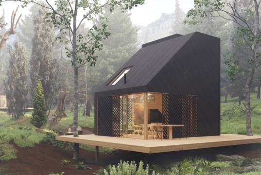 Kuća Dark forest / 3D vizualizacija: Mikro housing hub