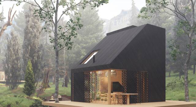 Kuća Dark forest / 3D vizualizacija: Mikro housing hub