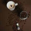 Rubio Monocoat nove Oil Plus 2C boje / foto: Magic Floor