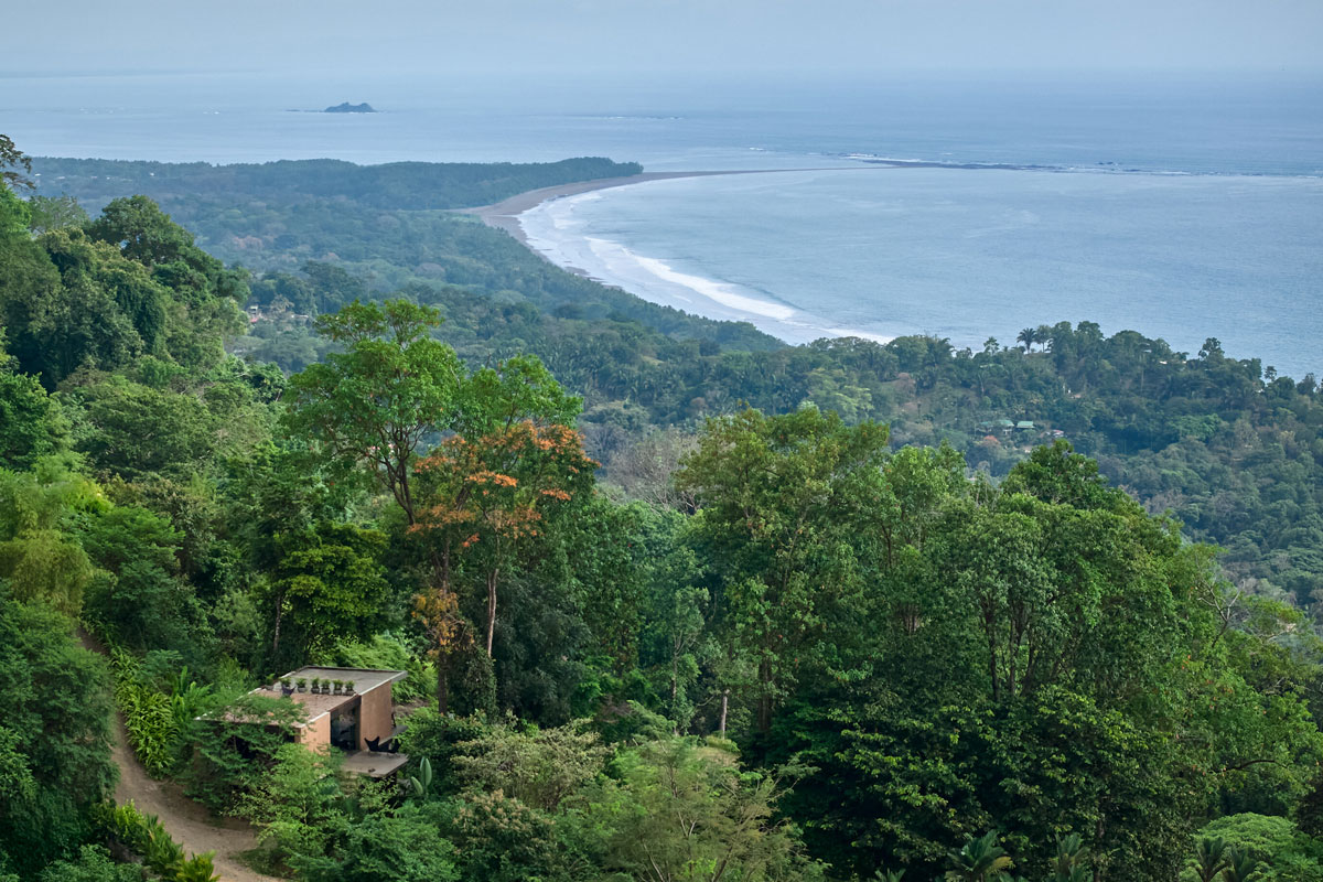 projekat: Formafatal - Studio House, sinergira arhitekture i prirode / foto: BoysPlayNice