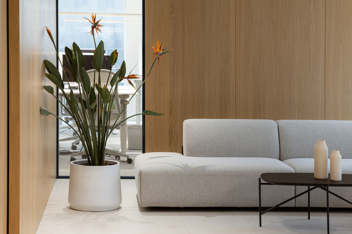 Projekat: Studio Fluid Wyss&Lila, biljka u uredjenju enterijera / foto: Jovana Rakezić