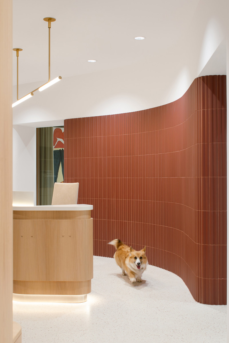 projekat: Palác Akropolis kancelarijski prostor / autor projekta: Marco Maio Architects / foto: Alex Shoots Buildings