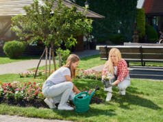 Kako da uz pomoć kreativnih ideja stvorite dvorište u kom ćete maksimalno uživati Sađenje cveća u dvorištu, uređenje dvorišta / foto: freepik.com