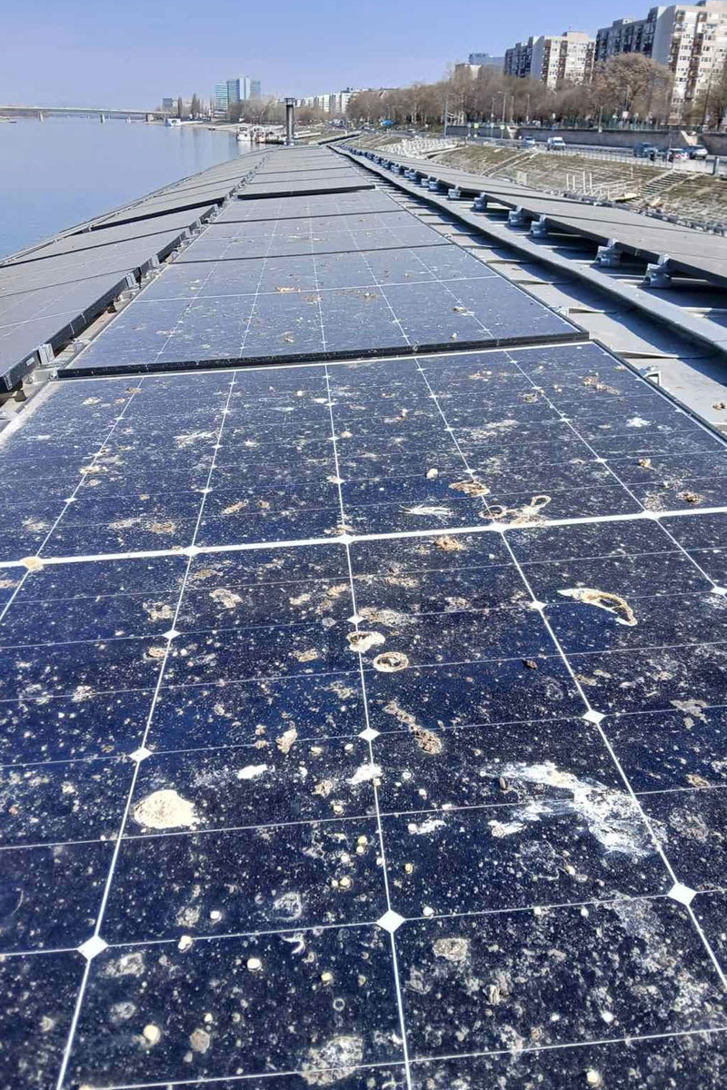 Solarni paneli pre / foto: Hygiene Systems