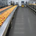 Pouzdana podna rešenja rešenja za prehrambenu industriju iz kompanije ISOMAT / foto: ISOMAT