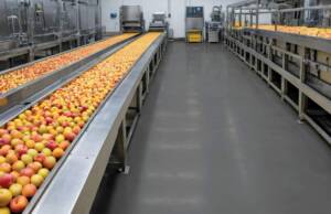 Kada podovi postanu ključni faktor: Pouzdana rešenja za prehrambenu industriju iz kompanije ISOMAT Pouzdana podna rešenja rešenja za prehrambenu industriju iz kompanije ISOMAT / foto: ISOMAT