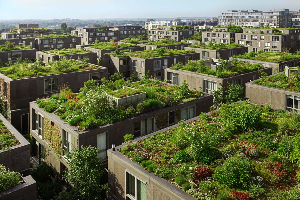 Zeleni krovovi postaju imperativ u urbanim sredinama / foto: freepik.com